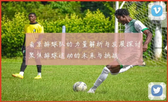 南京排球队的力量解析与发展探讨聚焦排球运动的未来与挑战