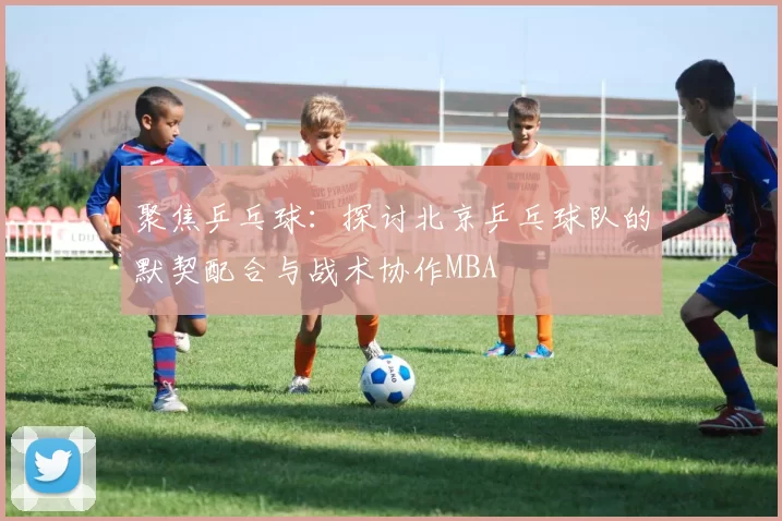聚焦乒乓球：探讨北京乒乓球队的默契配合与战术协作MBA