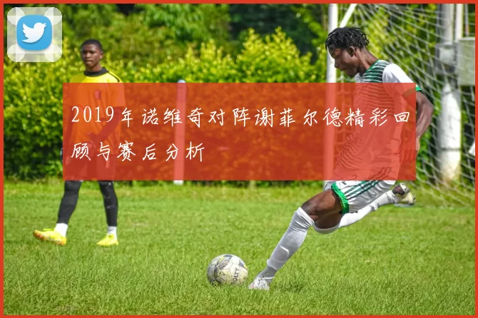 2019年诺维奇对阵谢菲尔德精彩回顾与赛后分析