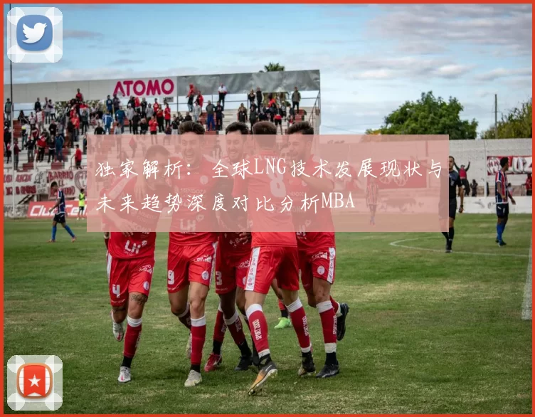 独家解析：全球LNG技术发展现状与未来趋势深度对比分析MBA