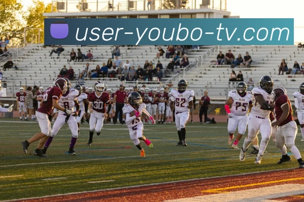 YB友博网站平台生态图