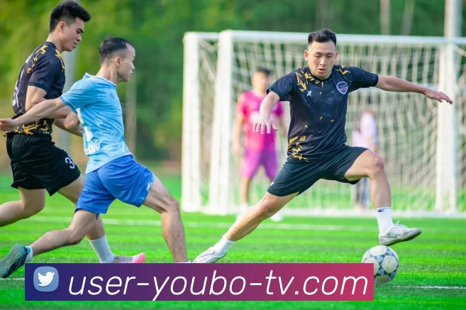 YB友博网站品牌故事