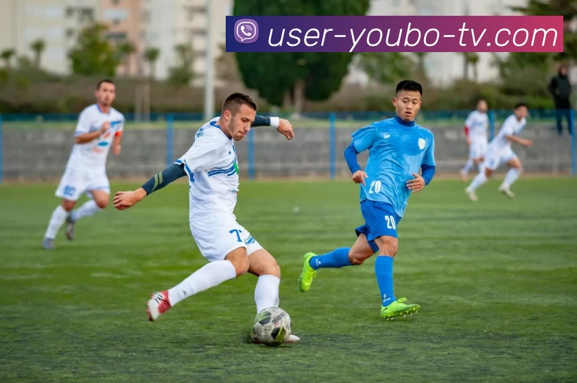 YB友博网站APP 封面图