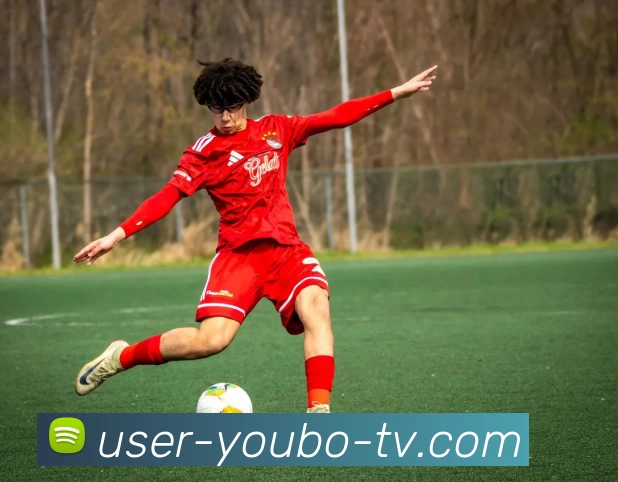 YB友博网站全站App